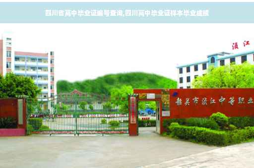 四川省高中毕业证编号查询,四川高中毕业证样本毕业成绩