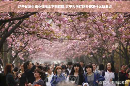 辽宁省高中毕业证样本下载官网,辽宁大学辽阳分校发什么毕业证