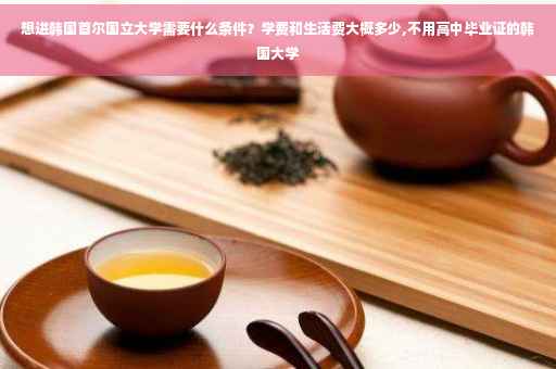 想进韩国首尔国立大学需要什么条件？学费和生活费大概多少,不用高中毕业证的韩国大学