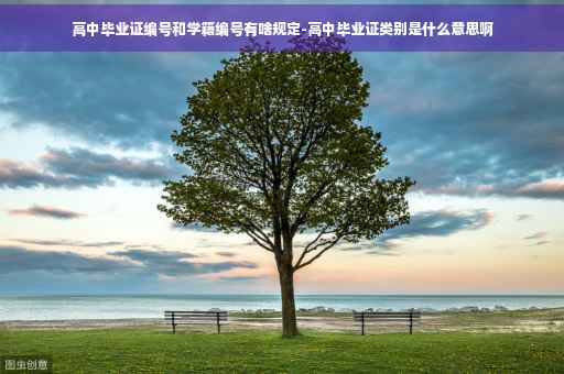 高中毕业证编号和学籍编号有啥规定-高中毕业证类别是什么意思啊