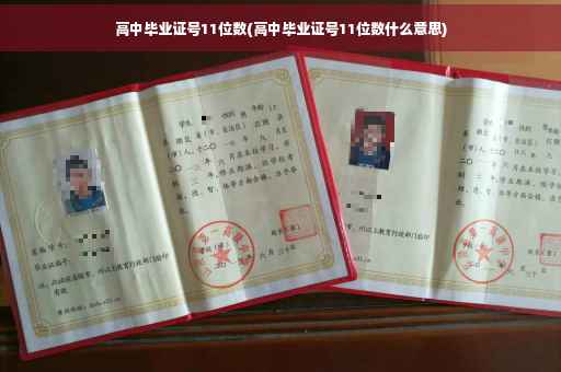 高中毕业证号11位数(高中毕业证号11位数什么意思)