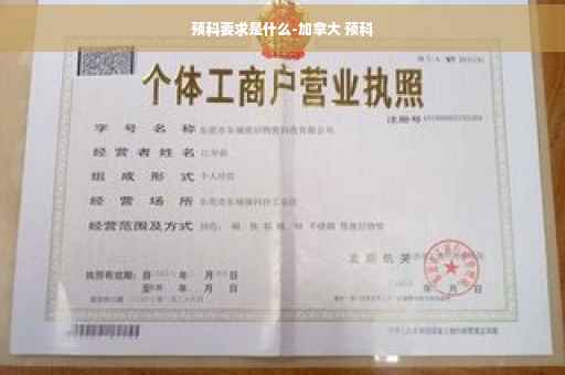 预科要求是什么-加拿大 预科