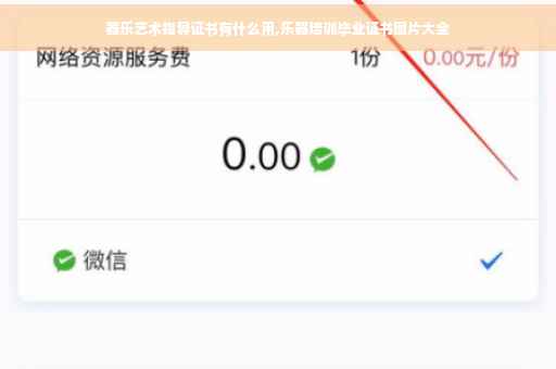 器乐艺术指导证书有什么用,乐器培训毕业证书图片大全