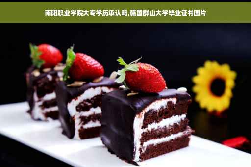 南阳职业学院大专学历承认吗,韩国群山大学毕业证书图片