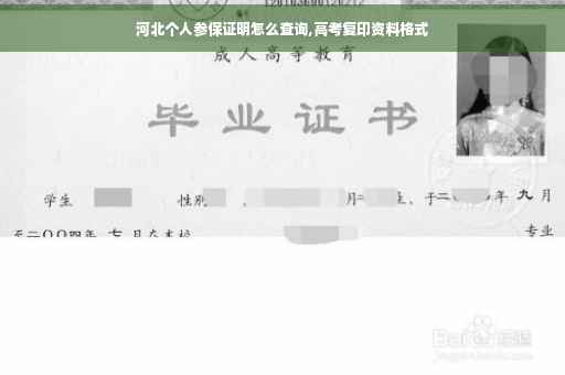 河北个人参保证明怎么查询,高考复印资料格式