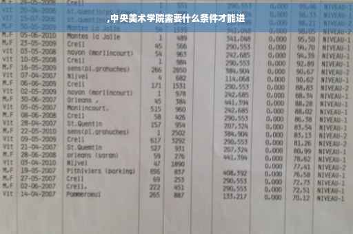 ,中央美术学院需要什么条件才能进