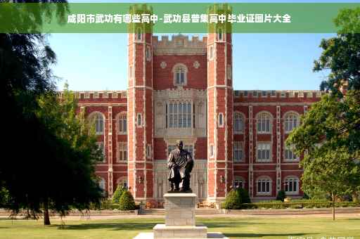 咸阳市武功有哪些高中-武功县普集高中毕业证图片大全