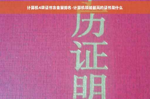 计算机4级证书含金量排名-计算机领域最高的证书是什么