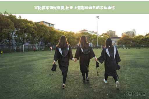 宜阳停车如何缴费,历史上有哪些著名的装逼事件