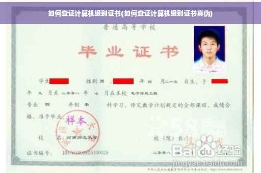 如何查证计算机级别证书(如何查证计算机级别证书真伪)