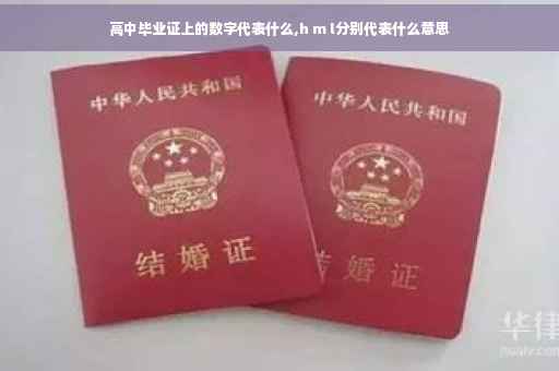 高中毕业证上的数字代表什么,h m l分别代表什么意思