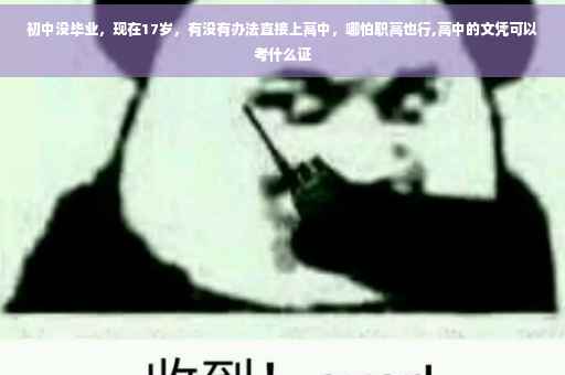 初中没毕业，现在17岁，有没有办法直接上高中，哪怕职高也行,高中的文凭可以考什么证