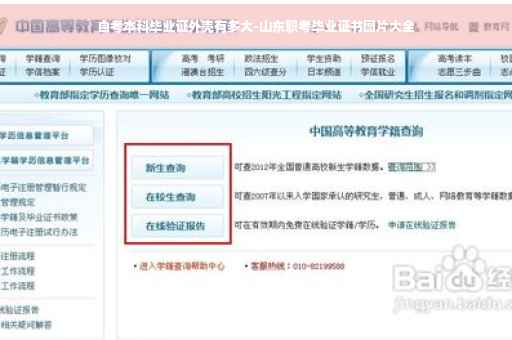 自考本科毕业证外壳有多大-山东职考毕业证书图片大全