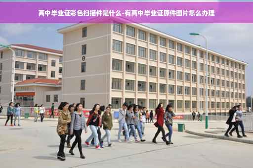 高中毕业证彩色扫描件是什么-有高中毕业证原件图片怎么办理