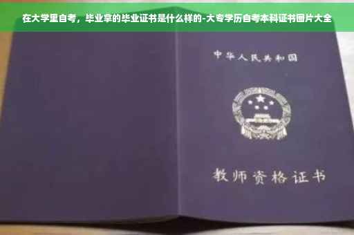 在大学里自考，毕业拿的毕业证书是什么样的-大专学历自考本科证书图片大全