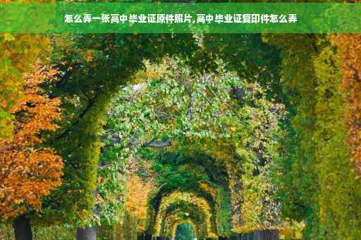 怎么弄一张高中毕业证原件照片,高中毕业证复印件怎么弄