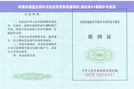 有谁知道武汉高中毕业证号是怎样编写的,湖北省03届高中毕业证