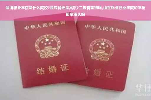 淄博职业学院是什么院校?是专科还是高职?二者有差别吗,山东铝业职业学院的学历国家承认吗