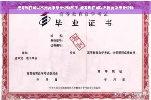成考现在可以不用高中毕业证吗知乎,成考现在可以不用高中毕业证吗