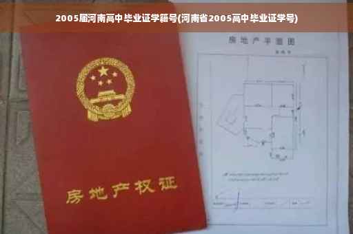 2005届河南高中毕业证学籍号(河南省2005高中毕业证学号)