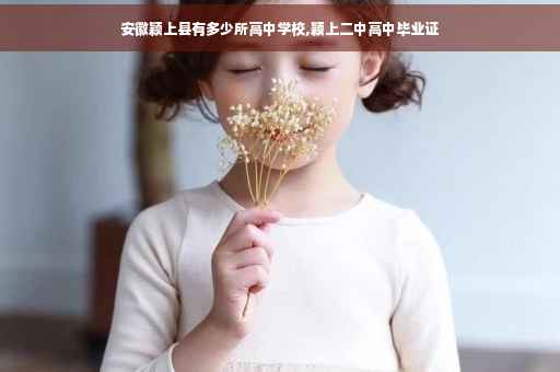 安徽颖上县有多少所高中学校,颖上二中高中毕业证