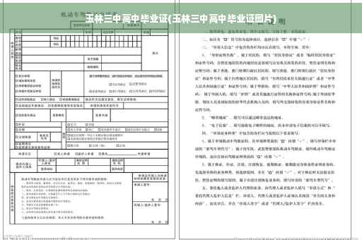 玉林三中高中毕业证(玉林三中高中毕业证图片)
