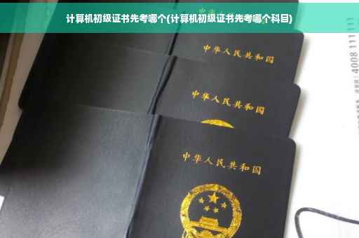 计算机初级证书先考哪个(计算机初级证书先考哪个科目)