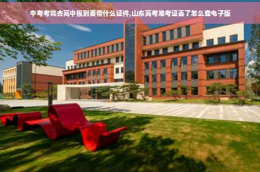 中考考完去高中报到要带什么证件,山东高考准考证丢了怎么查电子版
