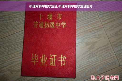护理专科学校毕业证,护理专科学校毕业证图片
