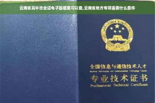 云南省高中毕业证电子版哪里可以查,云南省地方专项需要什么条件