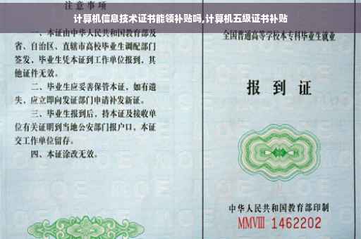 计算机信息技术证书能领补贴吗,计算机五级证书补贴