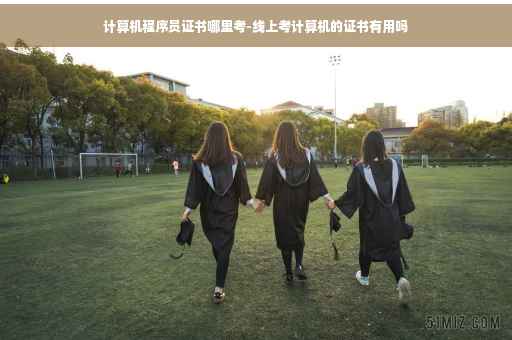 计算机程序员证书哪里考-线上考计算机的证书有用吗