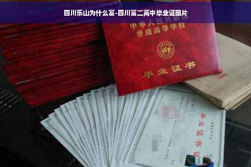 四川乐山为什么富-四川富二高中毕业证图片