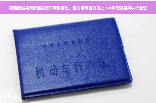 陕西澄城县刘家洼发现了芮国墓地，谁知道芮国的历史,90年代陕县高中毕业证