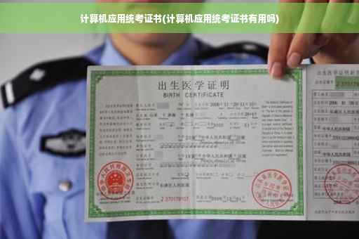 计算机应用统考证书(计算机应用统考证书有用吗)