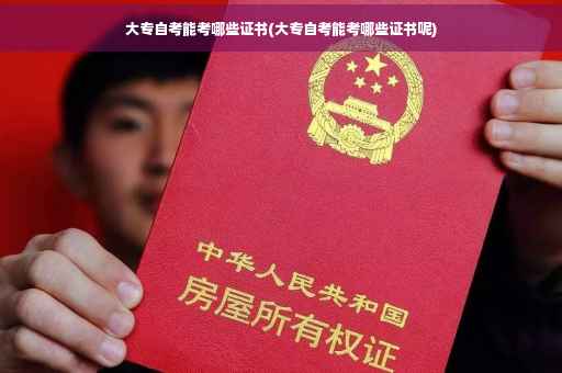 大专自考能考哪些证书(大专自考能考哪些证书呢)
