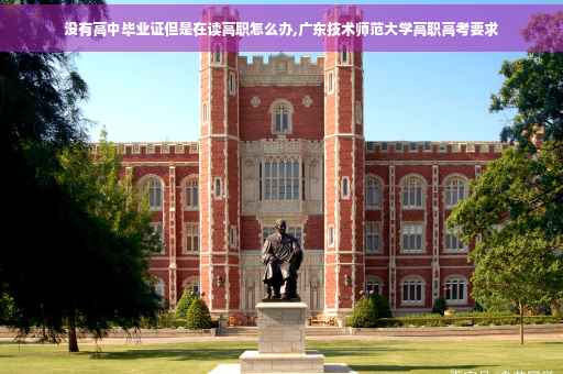 没有高中毕业证但是在读高职怎么办,广东技术师范大学高职高考要求