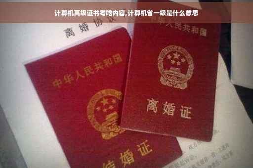 计算机高级证书考啥内容,计算机省一级是什么意思