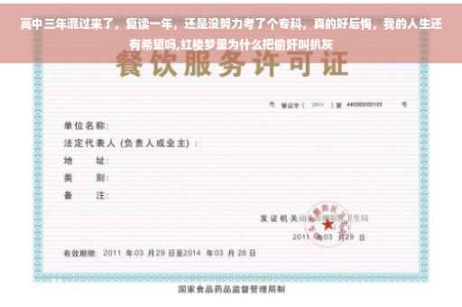 高中三年混过来了，复读一年，还是没努力考了个专科，真的好后悔，我的人生还有希望吗,红楼梦里为什么把偷奸叫扒灰