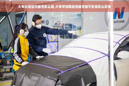 大专毕业证书编号怎么查,大专学信网报告编号查不到是怎么回事
