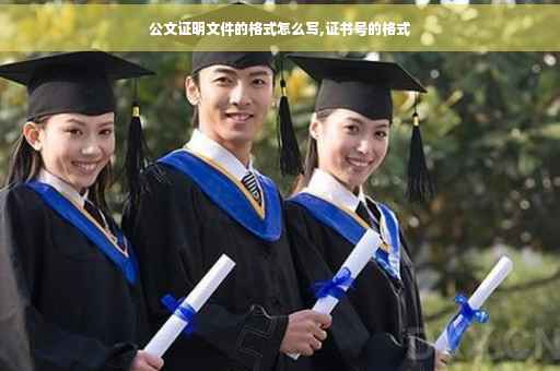公文证明文件的格式怎么写,证书号的格式