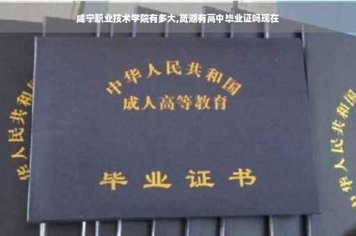 咸宁职业技术学院有多大,岚湖有高中毕业证吗现在