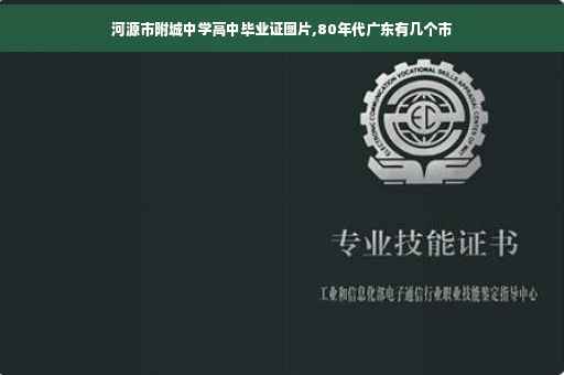 河源市附城中学高中毕业证图片,80年代广东有几个市