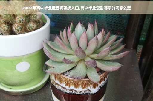 2002年高中毕业证查询系统入口,高中毕业证到哪拿的呢怎么查