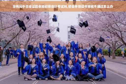 没有高中毕业证能参加初级会计考试吗,初会申领证书审核不通过怎么办