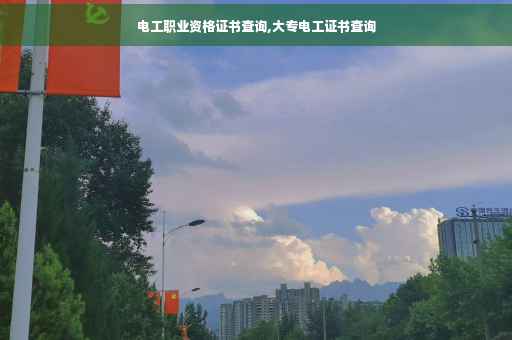 电工职业资格证书查询,大专电工证书查询
