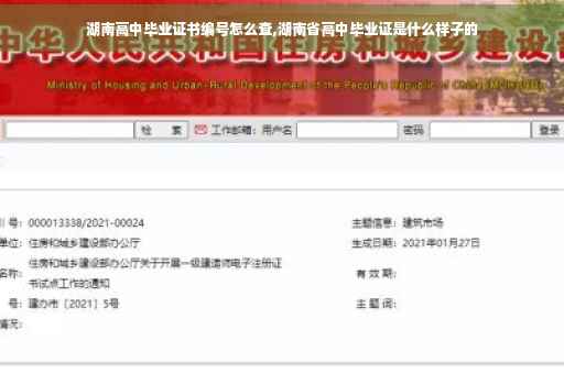 湖南高中毕业证书编号怎么查,湖南省高中毕业证是什么样子的
