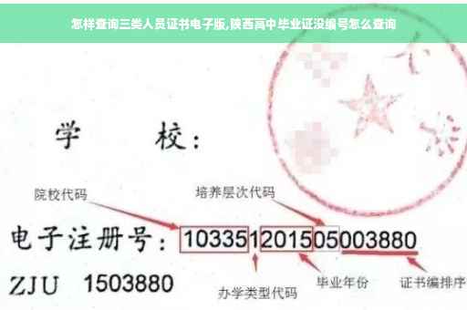 怎样查询三类人员证书电子版,陕西高中毕业证没编号怎么查询