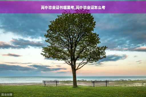 高中毕业证书哪里考,高中毕业证怎么考