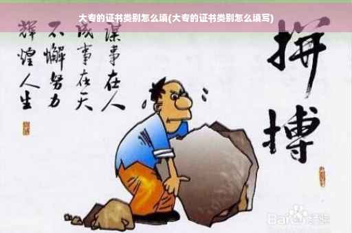 大专的证书类别怎么填(大专的证书类别怎么填写)